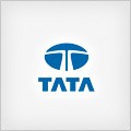 T cars specification and fuel consumption